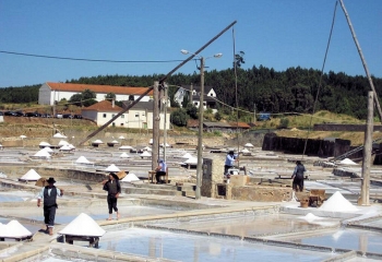 Rio Maior Salines
